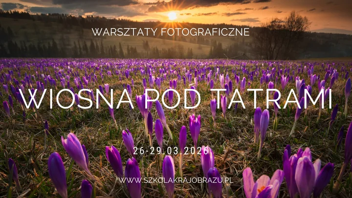 Grafika promocyjna wydarzenia Tatrzańskie krokusy-Warsztaty fotograficzne: plenerowy kurs pod ośnieżonymi szczytami