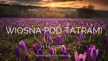 Grafika promocyjna wydarzenia Tatrzańskie krokusy-Warsztaty fotograficzne: plenerowy kurs pod ośnieżonymi szczytami