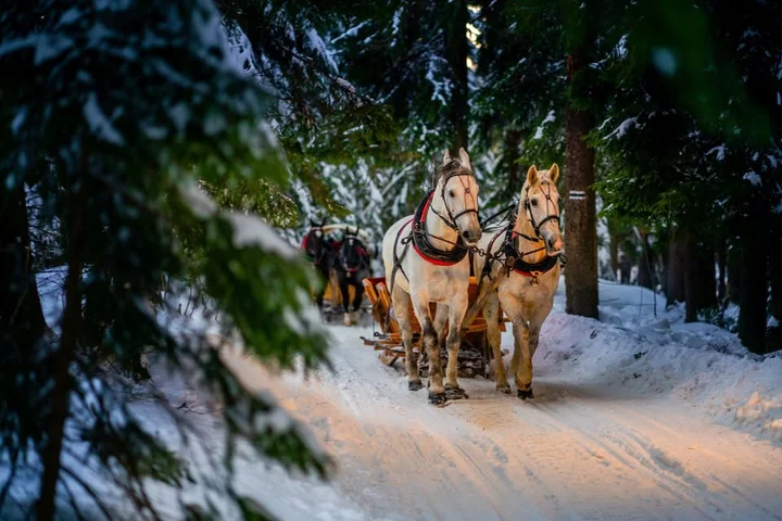 Grafika promocyjna wydarzenia Walentynki po Góralsku – Kulig z Biesiadą w Dolinie Kościeliskiej