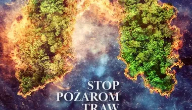 Nadleśnictwo Nowy Targ przypomina – wypalanie suchych traw zagraża ekosystemom leśnym i bezpieczeństwu