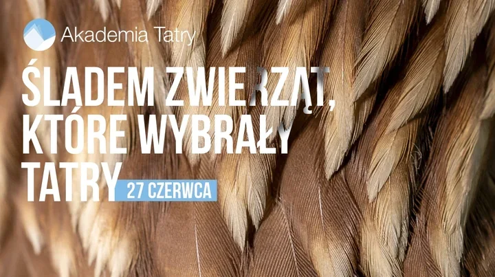 Tatry oczami badacza. Rusza spacer inspirowany książką o tatrzańskich zwierzętach