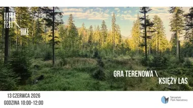Księży Las w TPN. Rodzinna gra z mapą, tropami i hasłem na finiszu