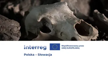 W Tatrach pokazują kości, które przeleżały pod lodem tysiące lat