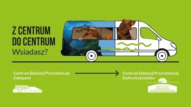 E‑busy z Zakopanego pojadą pod ziemię w Dolinie Kościeliskiej