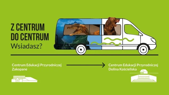 E‑busy z Zakopanego pojadą pod ziemię w Dolinie Kościeliskiej